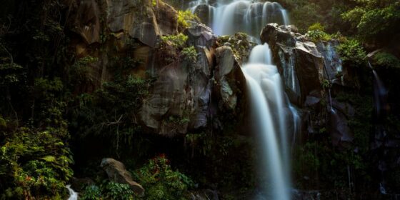 waterfalls in the middle of the forest