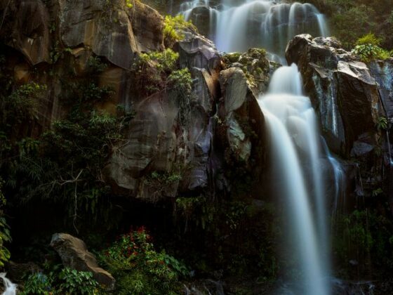 waterfalls in the middle of the forest